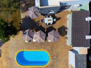 Old olive tree cottage