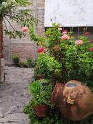 Top Ayacucho