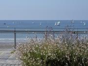 T2 Confortable, 2 min de la Plage, Aperçu Mer, Quartier Arago - FR-1-92-572