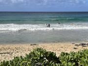 Top Koloa