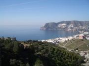 Top Torrox
