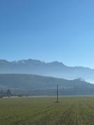 Top Colonia Şase Martie Top Colonia Şase Martie