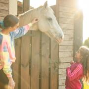 Apartamenty Pod Dębami