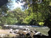 Top Curarrehue Top Curarrehue