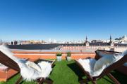 Historic penthouse Plaza Mayor in Madrid