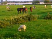 Top Kollmar Top Kollmar