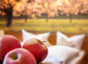 Landgasthof Paradies