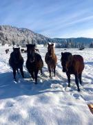 Top Pohronská Polhora