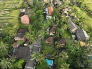 Top Ubud Top Ubud