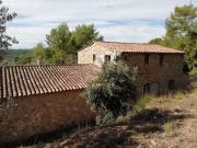 Top Callas Top Callas