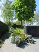 Vakantiewoning De Klaproos