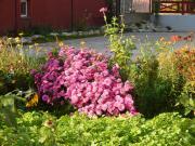 Top Liptovský Mikuláš