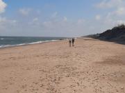 Top Hemsby