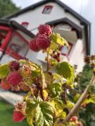 Top Mavrovo