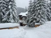 Top Obarsia-Lotrului