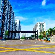 Top Bandar Penawar