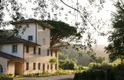 Top Forcoli