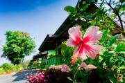 Top Khao Lak