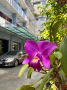 Top Khlong San