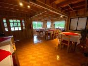 Top Neltume Top Neltume