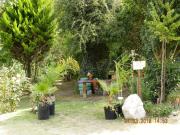 Top Villa Giardino Top Villa Giardino