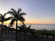 Top Icod de los Vinos Top Icod de los Vinos