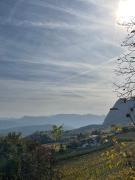 Top Appiano sulla Strada del Vino