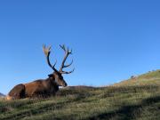 Ferienhaus Brandacher