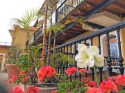 Top Icod de los Vinos