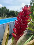 Top Anapoima Top Anapoima