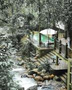 Top Thekkady