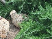 Top Villar de la Encina