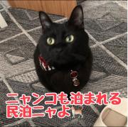 男性のみでの利用不可ーペット連れ歓迎 女性連れ専用ーotomari MUSUHIータイ古式マッサージや妊産婦ケアが受けられる 源泉掛け流し温泉側の宿 ドッグラン可