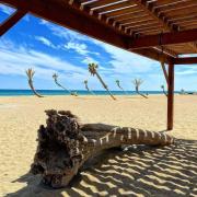 joli appart proche du marché de Noël et de létang