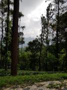 Top Munnar