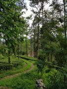 Top Munnar