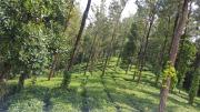 Top Munnar