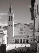 Top Spoleto