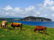 Rural Farmhouse on Kintyre, West Coast hidden gem