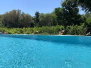Top Figari