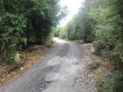Top Callington