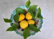 Top Positano Top Positano