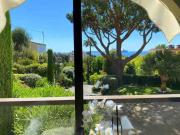 The Sun Paradise Dream