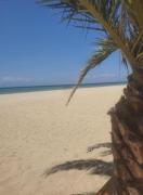 Top Skála Neón Epivatón