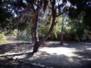 Top Panormos Kalymnos Top Panormos Kalymnos