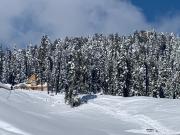 Top Gulmarg