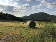 Top Le Mont-Dore