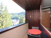 Appartement T2 au Mont Dore avec Balcon et WIFI - FR-1-608-58