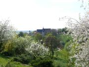 Top Sandomierz Top Sandomierz