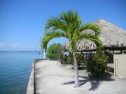 Top Placencia Top Placencia